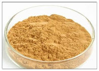 タンポポから得られるブラウンの粉の自然な反炎症性補足は定着します