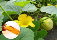 食品等級の自然な植物のエキス オイルの風邪-押されたカボチャ オイルの前立腺の保護