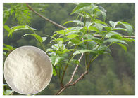 植物の葉のエキスの粉、反アルコールアンペロシスの総選挙のエキスの粉のサプリメント