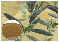 反酸化水の自然なオリーブ色の葉のエキスのヒドロキシチロソール 20%の溶媒