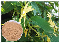 反炎症性スイカズラの花のエキス、5%のクロロゲン酸のロニケラのジャポニカのエキス