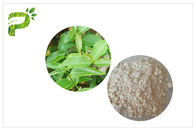 CAS 989は51 5 EGCGの緑茶のエキスの化粧品Epigallocatechinの没食子酸塩の原料を等級別にします