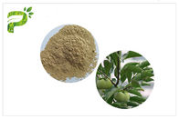 自然な植物のUrsolicの酸のエキス、CAS 77 52 1柿の葉の粉高い純度