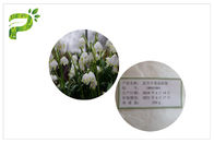 高純度化粧品植物抽出物夏のスノーフレークロイコヤムアステビブスキンライトニング用