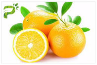 オレンジ エキスの柑橘類のAurantiumのエキスのSinensisの反菌類/細菌のヘスペリジンCAS 520 26 2