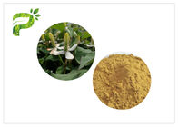 ドクダミの純粋で自然な植物は重量管理のための粉の形態を得ます