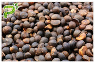 ツバキのOleifera茶サポニンの自然な殺虫剤はアベルの種のエキスを粉にする