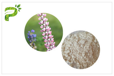 Lupeolの植物のエキスの粉の反炎症性高い純度98% CAS 545 47 1
