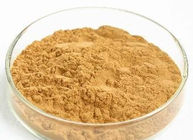 強力な酸化防止自然なサプリメントのブラウンのタンポポの根のエキスの粉