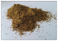 サプリメントの痛風のための植物の種のエキスの粉のセロリーの種子のエキスの粉