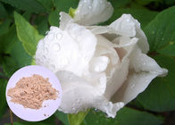 皮の白くなることのためのシャクヤクの根の植物のエキスの粉のPaeonia 乳酸菌