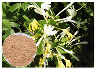 反細菌の自然な花のエキスのクロロゲン酸5%のスイカズラの花のエキスの粉