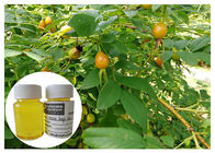 リノール酸の酸との傷の取り外しのバラの実のフルーツ オイルの常温圧縮の黄色い色