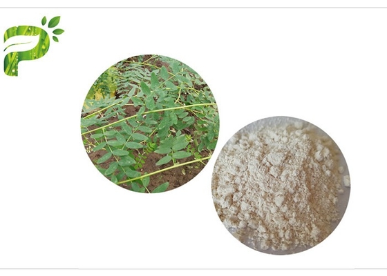 CAS 84687 43 4 AstragalusのMembranaceusのエキスのAstragaloside IVの98%反老化