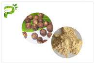 シャンプーのための粉の形態のSoapnutのエキスのサポニンの原料50%/70%