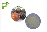界面活性剤のサポニンのSoapnutの自然なエキス、スキン ケアのための石鹸のナットの植物のエキス
