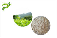 反酸化EGCG緑茶のエキス、薬剤の等級の自然な緑茶のエキス