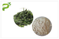 自然な反酸化EGCG緑茶のエキスの反蟹座の粉CAS 989 51 5