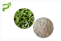 反虫歯の自然なサプリメント、歯磨き粉EGCGの緑茶のエキスCAS 989 51 5