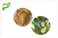 アクネの高性能液体クロマトグラフィー テスト方法を扱う化粧品の原料のマンゴの葉のエキスの皮Mangiferin