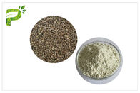植物の源の自然なサプリメント蛋白質の有機性麻種の穀粒蛋白質の粉50% 60%