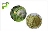 植物の源の自然なサプリメントのカボチャ種蛋白質の粉の完全菜食主義者蛋白質50% 60%