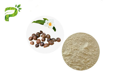 カバノキ水産 茶サポニン 有機農薬粉末 カメリア オリーフェラ 抽出物 UV検査