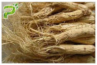 Ginsenosidesのサプリメントのための原料によって粉にされる草のエキスのPanaxの朝鮮人参