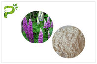 高い純度の植物のエキスの粉CAS 545 47 1反炎症性/細菌のLupeol
