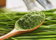 100つの網の食糧補足のための緑の健康の粉のオオムギ草ジュースの粉