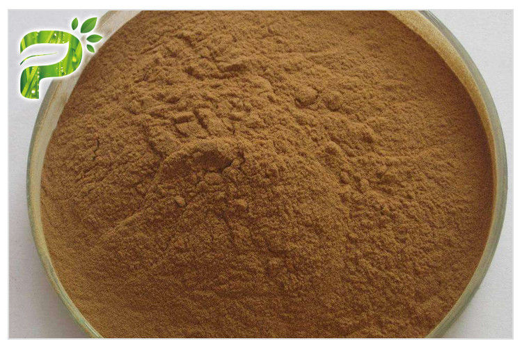 茶色の黄色の細粉状のジンセン根抽出物 20 ((R) -ジンセノシド Rh2/Rg3 抗癌