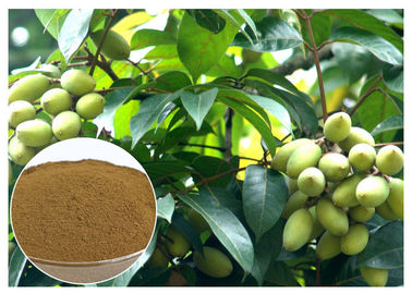 オレウロペインの高性能液体クロマトグラフィー テストが付いている自然なオリーブ色の葉のエキスの自然な原料