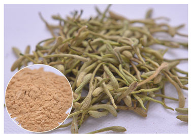 5%, 25% Lonicera japonica エクストラクト ハニーシックルの花粉