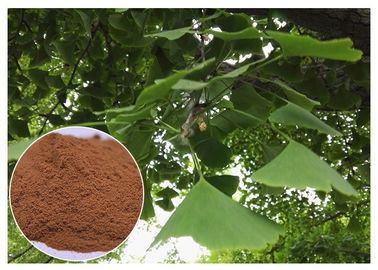 自然な植物のエキスは心循環器疾患のイチョウのBilobaの葉のエキスEPの等級を防ぎます