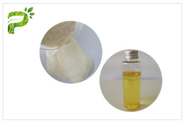 白い色の反酸化ビタミンEの粉Dlα Tocopherylのアセテートの粉の栄養の補足