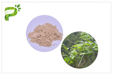 残存物シンドロームCAS 27200のためのAmpelopsis GrossedentataのエキスDihydromyricetin/DHM 12 0